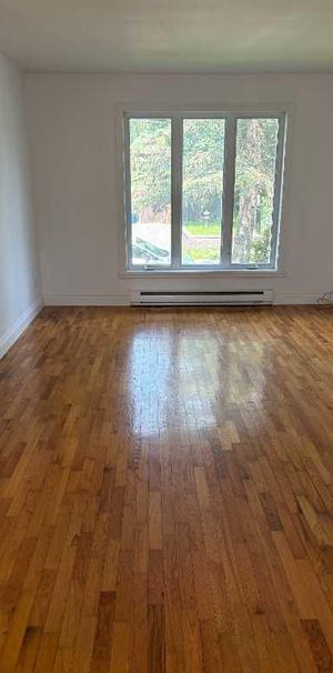 5 1/2 à louer, bas de duplex, L'Assomption ( Lanaudière) - Photo 1