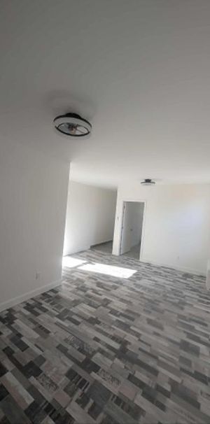 3 1/2 disponible maintenant - Photo 1