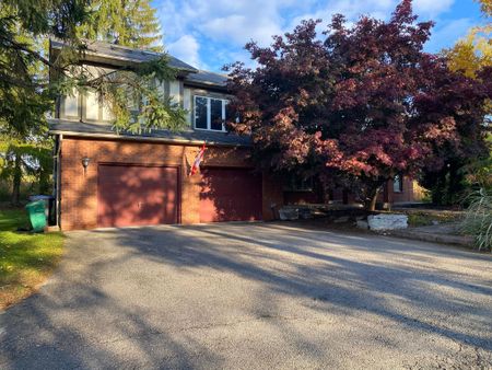 For Lease - 2696 Embleton Road, Brampton, Ontario - Photo 5