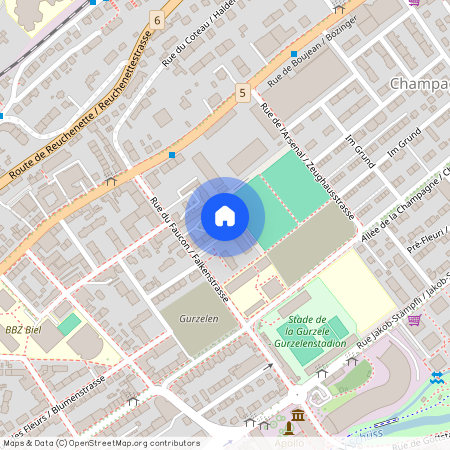 2502, Biel-Bienne, Falkenstrasse, 31