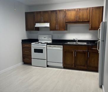 One Bedroom Rental Near Market Mall- New Flooring and Paint, with p... - Photo 2