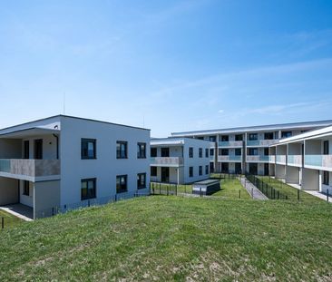WirtschaftseinheitWIENER NEUSTADT XI/1 - Foto 6