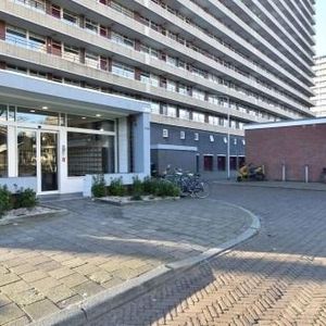 Hendrik Tollensstraat 0ong, 2624 ZL Delft, Nederland - Photo 2