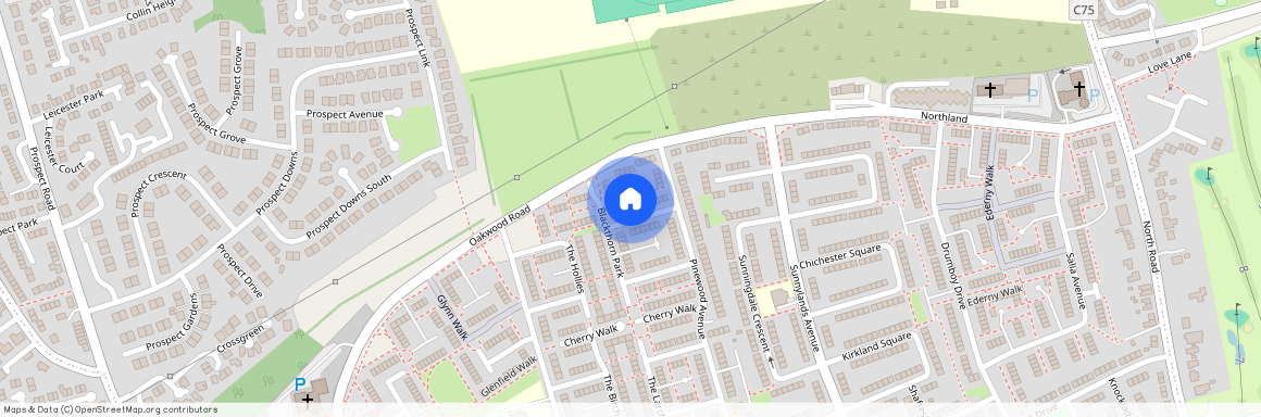 78 Blackthorn Park, Carrickfergus, BT38 8ER