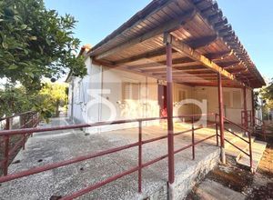 Μονοκατοικία για ενοικίαση - Αμαλιάδα, - Photo 4