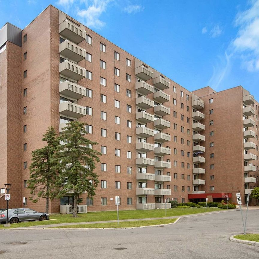 Saratoga Place - Photo 1