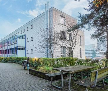 2.5 Zimmer, 72 m², 2. Stock - Foto 6