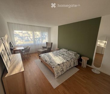 Sublet Fully Furnished 2-Room Apartment in Cham, Zug Kanton - Photo 2