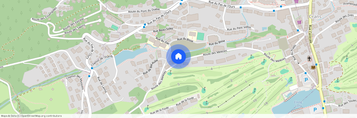 Route des Mélèzes 40, Crans-Montana