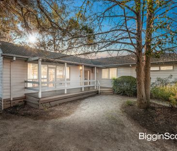 Charming Family Home in a Prime Glen Waverley Location - Photo 3