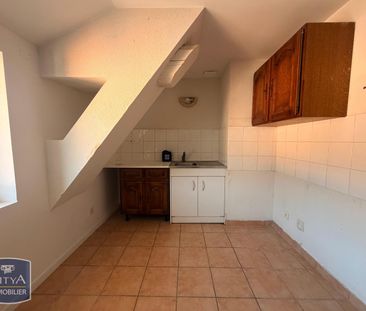Location Appartement 2 pièces 33m² FONTAINES SUR SAONE 69270 - Photo 2