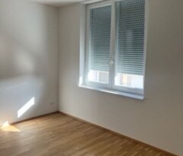 Traumwohnung in Graz- Eggenberg: 2- Zimmer, 66m² mit überdachter Te... - Foto 6