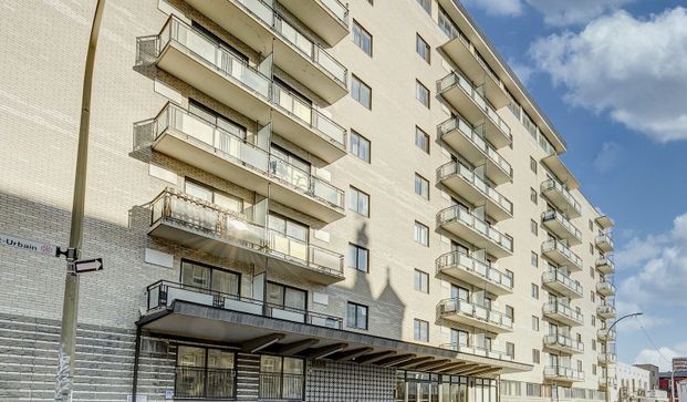 IMMEUBLE PROFESSIONEL - PLATEAU / CENTRE-VILLE/ PARC DU MONT-ROYAL - Photo 1