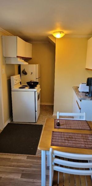 À SAINT-AGATHE-DES-MONTS ,PRÈS DE TOUT LES SERVICES, BORD DE L'EAU RÉSIDENTIEL, BACHELEUR 2½ À LOUER TOUT COMPRIS LIBRE 1 DÉCEMBRE 2025 - Photo 1