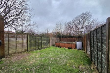 The Scimitars - Photo 3