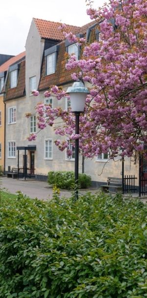 Blå Vägen 73 D - Photo 1