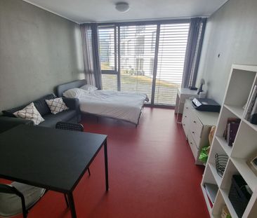 Trier-Tarforst: Lichtdurchflutetes Appartement mit 28 m² WFL nähe U... - Foto 1