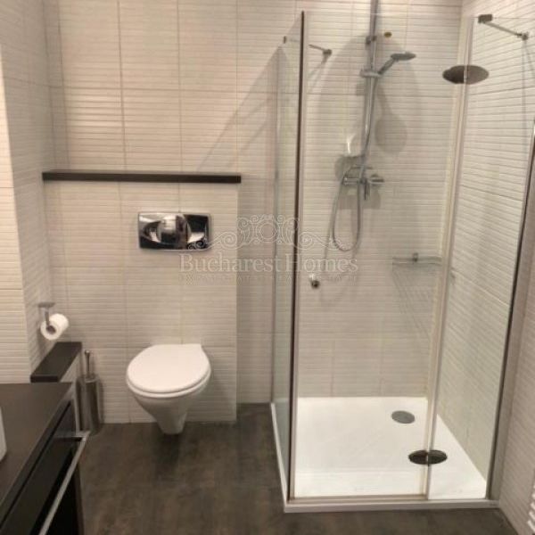 Large and Comfortable Two Bedroom Flat with Large Terrace - Piata Victoriei - Photo 1