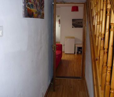 Double Room, Victoria Terrace, Brynmill *Students & Professionals* - Photo 4