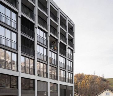 Über den Dächern von Mels - Foto 3