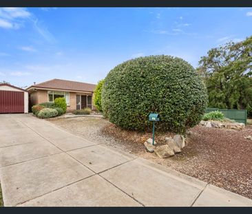Spacious Family Home in Prime Modbury North Location - Photo 6