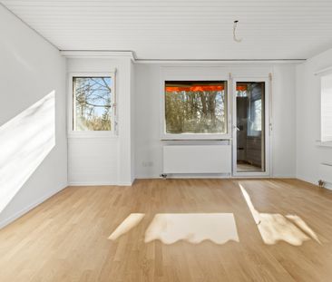 Frisch renovierte Erdgeschosswohnung - Photo 2