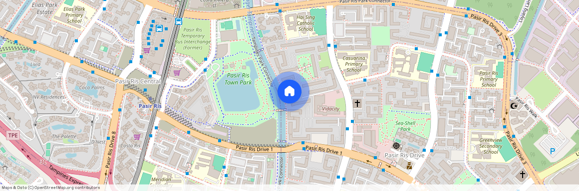 420 Pasir Ris Drive 6 (510420), Singapore