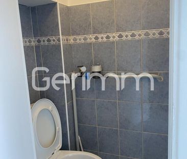 Location Appartement 3 pièces 45m² GRENOBLE 38100 - Photo 5