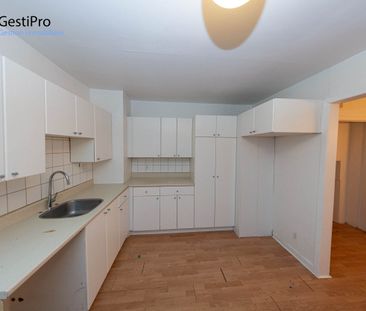 315 Chouinard - Photo 6