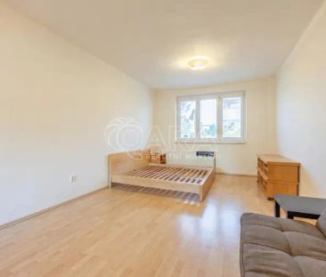 Příjemný byt 1+1 v ul. Za Zelenou Liškou. - Fotografie 4