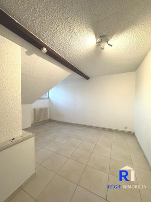 Location Appartement 1 pièce 22m² GRENOBLE 38100 - Photo 1