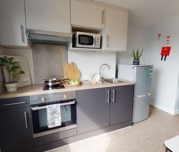 Gold Studio Deluxe - Photo 6