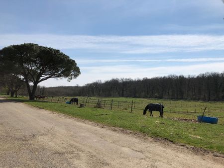 Location domaine agricole 12 pièces, 50000.00m², Fronton - Photo 2