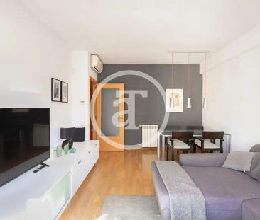 Piso de alquiler en Carrer de la Reina Amàlia, El Raval - Foto 2