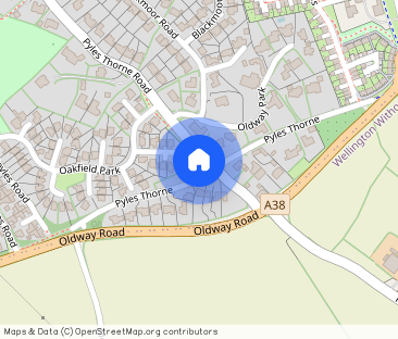 Pyles Thorne, Wellington, Somerset, TA21 - Photo 1