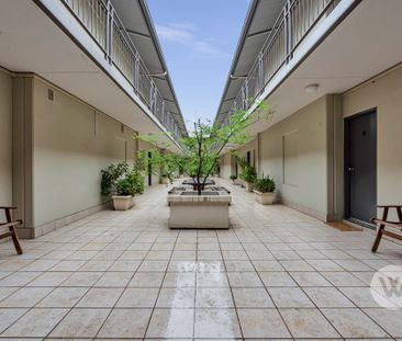 11 / 326 Gilles Street, Adelaide - Photo 1