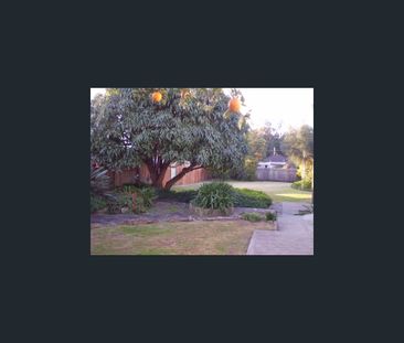 28A Lillian Road, Riverwood, NSW 2210 - Photo 4