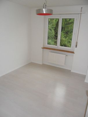 Charming apartment in a central location in Küssnacht am Rigi - Photo 1