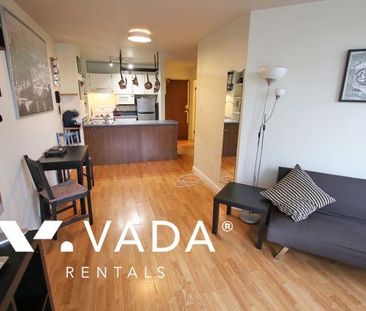Unfurnished, 1 Bed 1 Bath Apartment For Rent - Photo 5