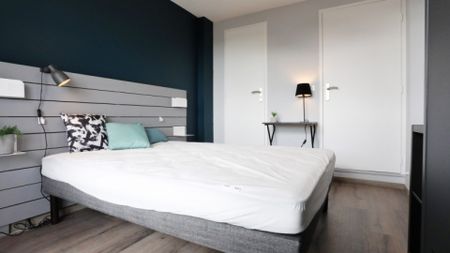 URSS Roommate 4 Bedrooms at Toulouse - Photo 2