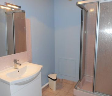 Location Appartement 1 pièce 27m² BLOIS 41000 - Photo 3