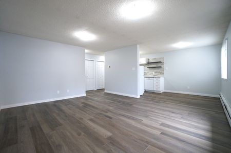 Modern and Spacious 2-Bedroom Apartment - SMALL PET FRIENDLY! - Photo 4