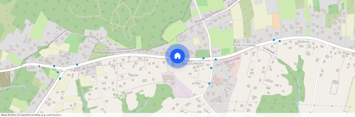 Wielicki, Wieliczka, Sygneczów