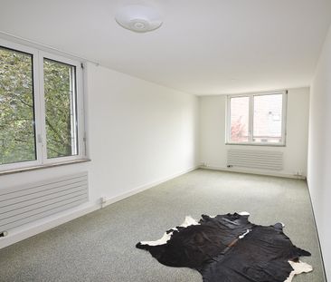 Atelierräume im Herzen von Rheinfelden - Photo 3