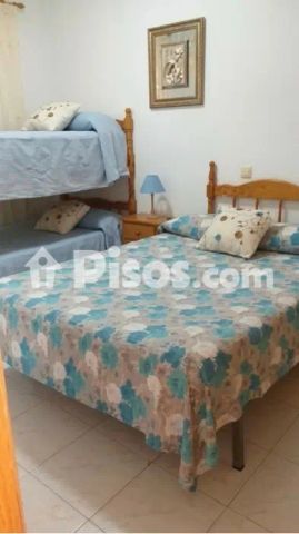 Apartamento en alquiler en Torrevieja - Foto 5