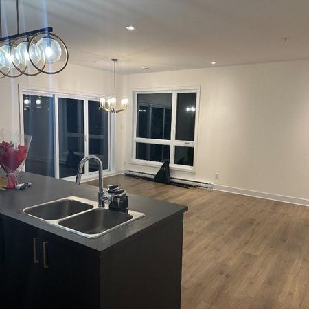 Grand condo lumineux 4 ½ au Faubourg Cousineau – Secteur recherché et paisible - Photo 4