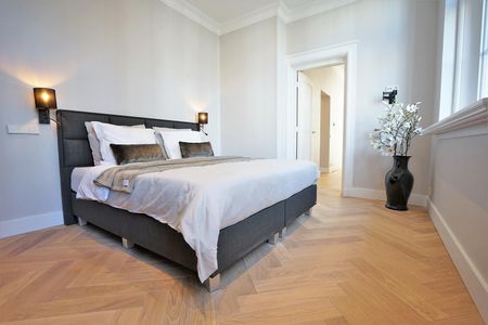 De Lairessestraat 172D AMSTERDAM - Foto 5