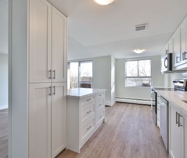 For Lease - 55 Woolley Street Unit# 208, Cambridge, Ontario - Photo 4