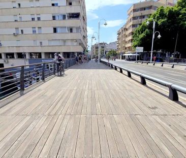 Gandia - Photo 1