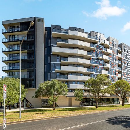 36/2 Torrens Street, Braddon ACT 2612 - Apartment For Rent | Domain - Photo 3